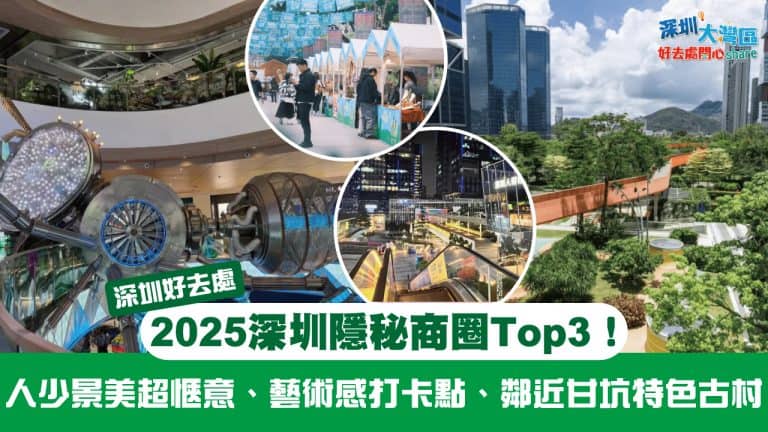 2025top3shenzhen hidden business