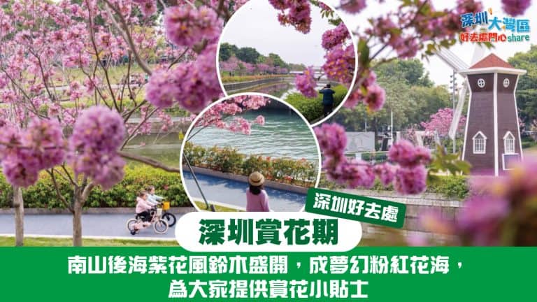 Shenzhenflowerviewing season