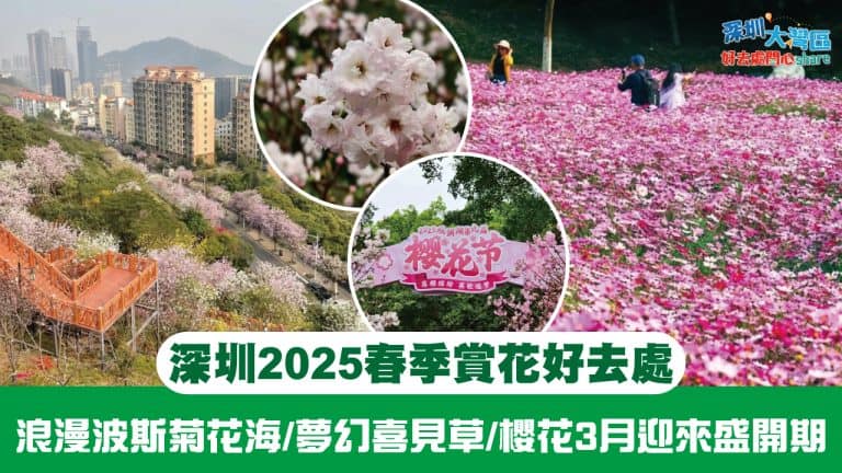 Spring2025